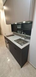 Haus On Handy (D9), Condominium #498682551